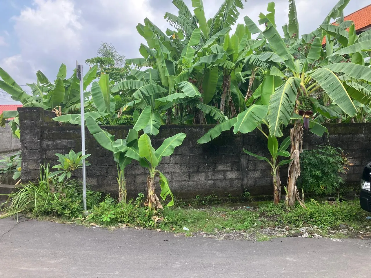 Santara Mezzanine and Condos 07